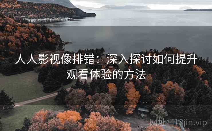 人人影视像排错:深入探讨如何提升观看体验的方法 人人影视像排错:深入探讨如何提升观看体验的方法