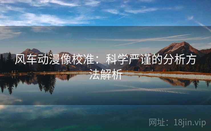 风车动漫像校准:科学严谨的分析方法解析 风车动漫像校准:科学严谨的分析方法解析